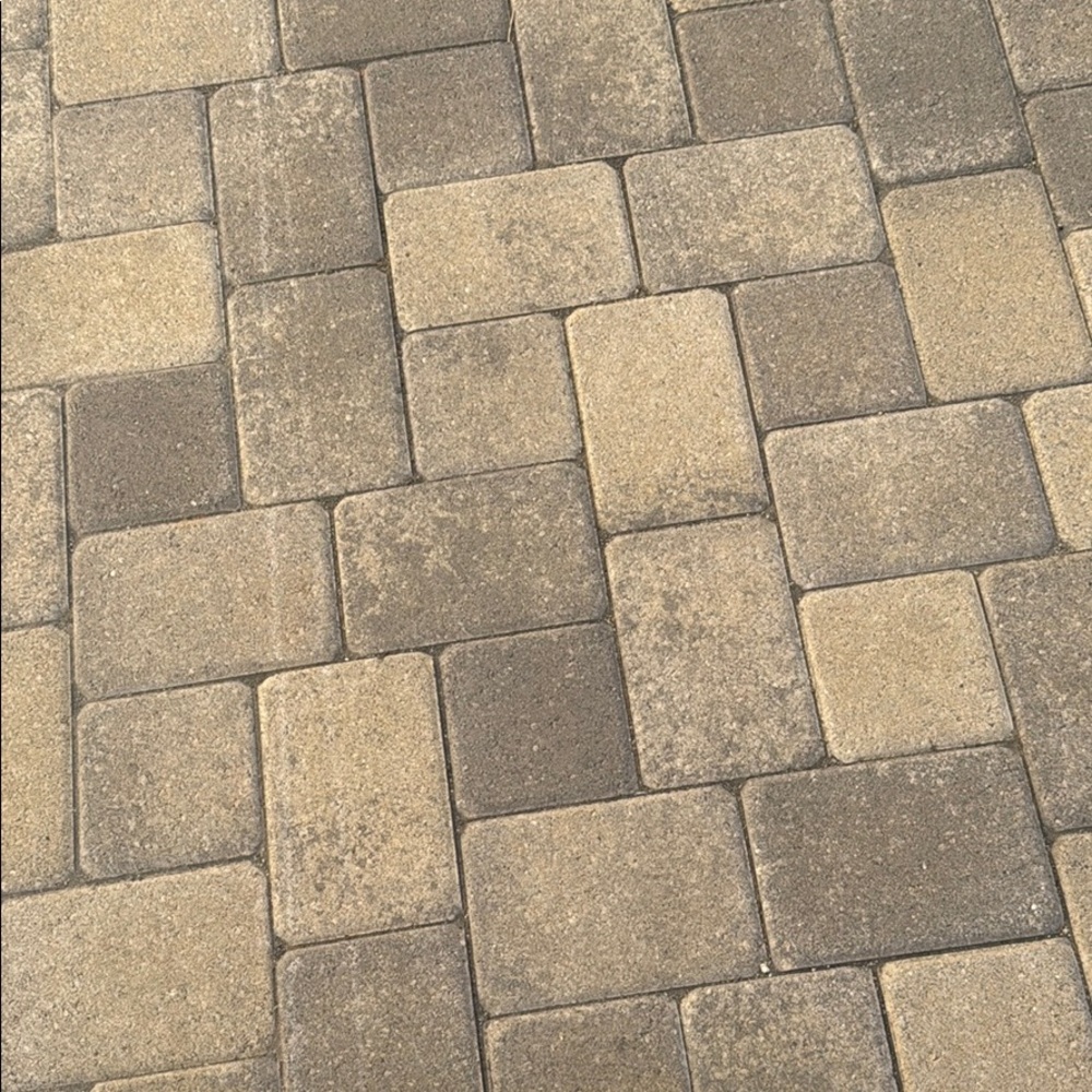 Meet your Posher, Angelina